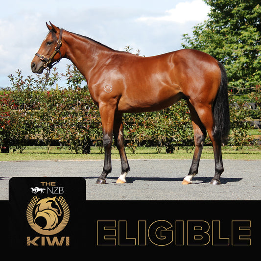 King's Legacy x Peace Palace Yearling Colt